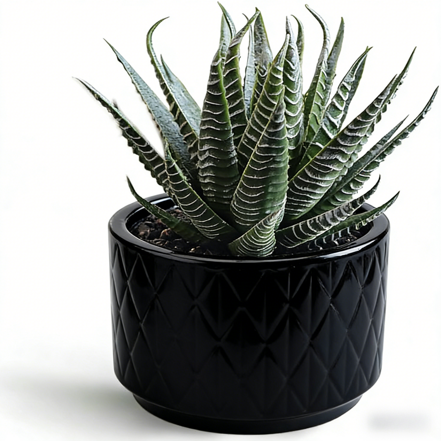 7'' High Potted Fake Aloe Succulent Plant for Home Office Desk Bathroom Boho Shelf Decor