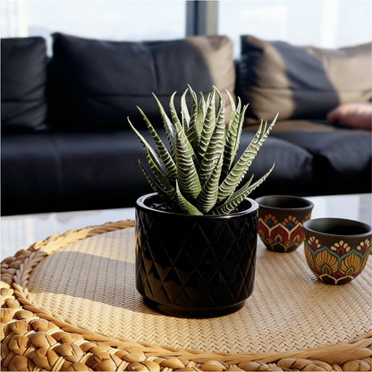 7'' High Potted Fake Aloe Succulent Plant for Home Office Desk Bathroom Boho Shelf Decor