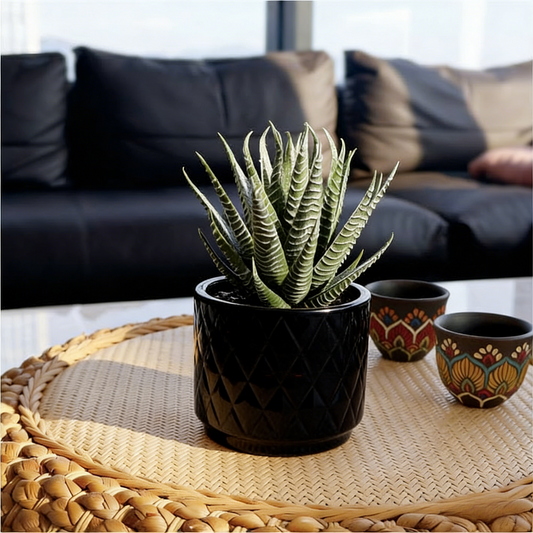 7'' High Potted Fake Aloe Succulent Plant for Home Office Desk Bathroom Boho Shelf Decor