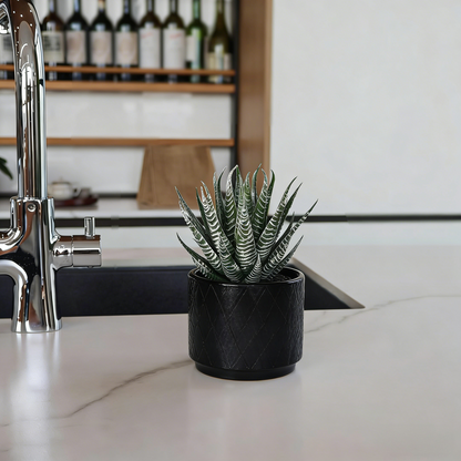 7'' High Potted Fake Aloe Succulent Plant for Home Office Desk Bathroom Boho Shelf Decor